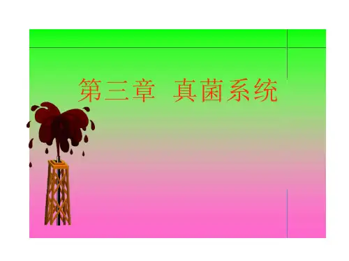 第三章 真菌系统课件