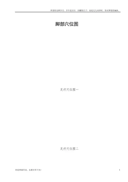 (新)脚部穴位图全面(图文)