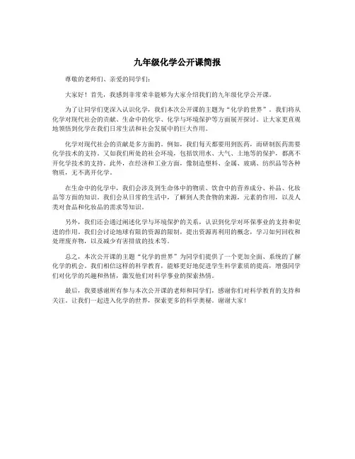 九年级化学公开课简报
