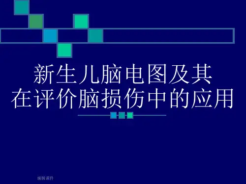 Z新生儿脑电图及其在评价脑损伤中的应