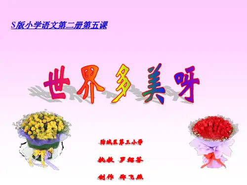 世界多美呀PPT课件(2套)