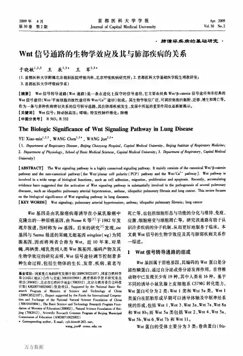 Wnt信号通路的生物学效应及其与肺部疾病的关系