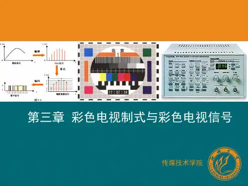 第三章 彩色电视制式与彩色电视信号31精品PPT课件