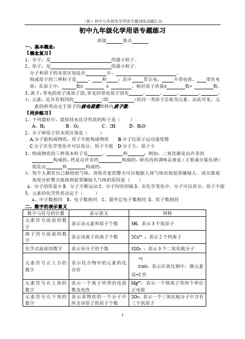 (新)初中九年级化学用语专题训练试题汇总