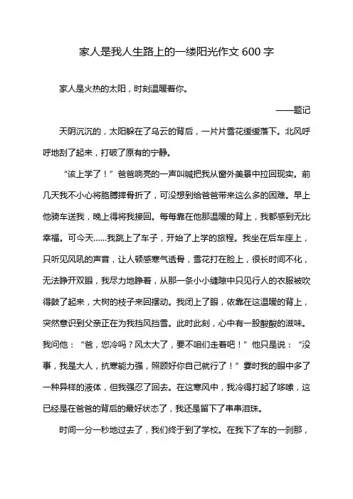 家人是我人生路上的一缕阳光作文600字