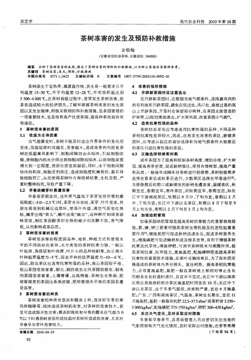 茶树冻害的发生及预防补救措施