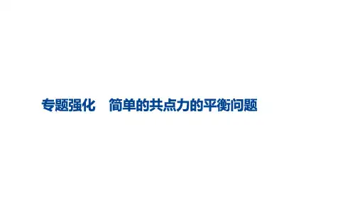 简单的共点力的平衡问题课件
