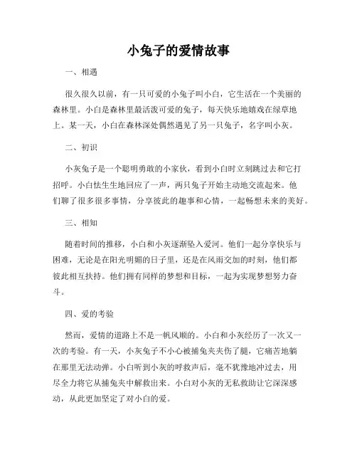 小兔子的爱情故事