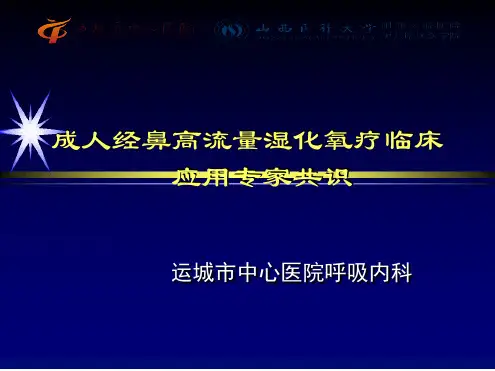 经鼻高流量指引