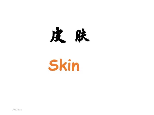 皮肤skin组织学与胚胎学.ppt