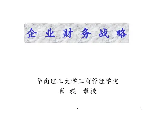 企业财务战略PPT课件