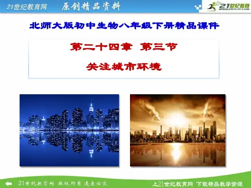 24.3 关注城市环境（课件ppt）