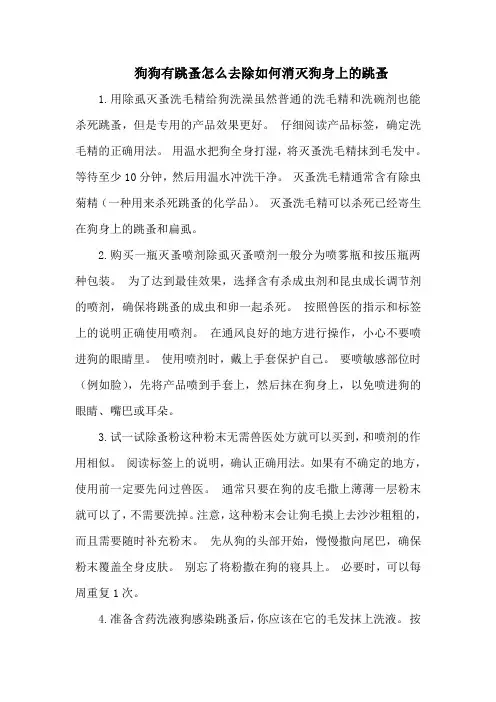 狗狗有跳蚤怎么去除如何消灭狗身上的跳蚤