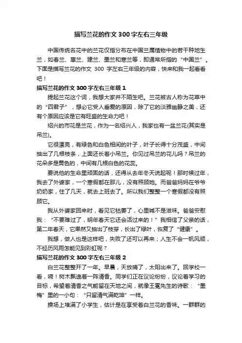 描写兰花的作文300字左右三年级
