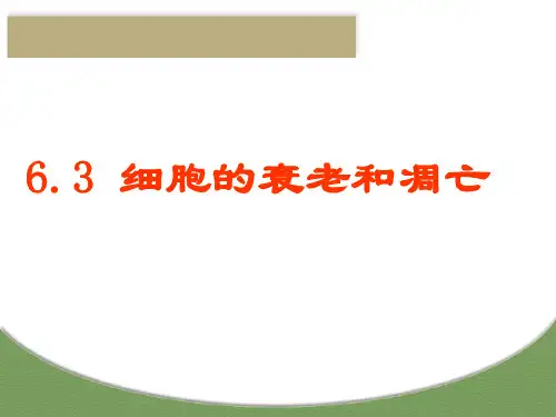 人教版高中生物必修1：细胞的衰老、凋亡与癌变