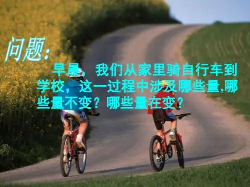 函数变量与常量(课堂PPT)