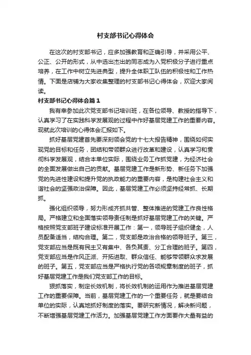 村支部书记心得体会