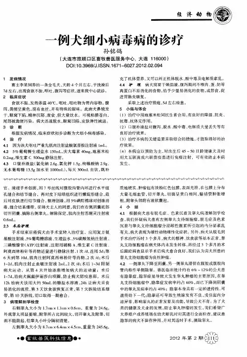 一例犬细小病毒病的诊疗