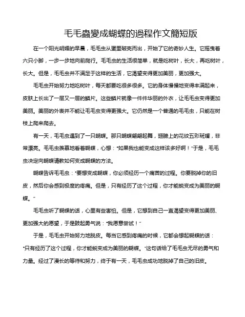 毛毛虫变成蝴蝶的过程作文简短版