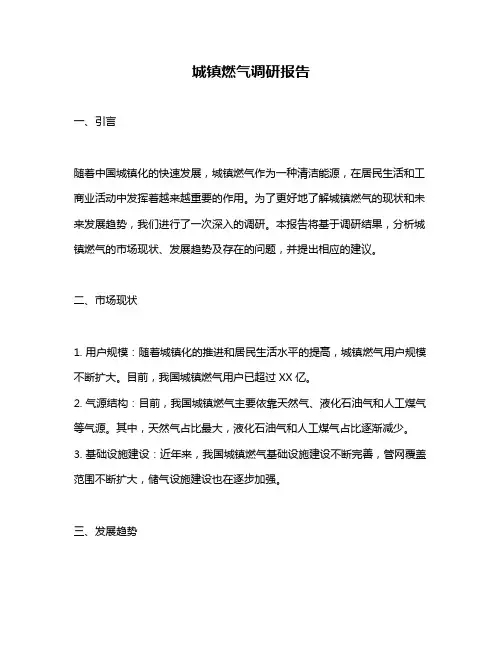 城镇燃气调研报告