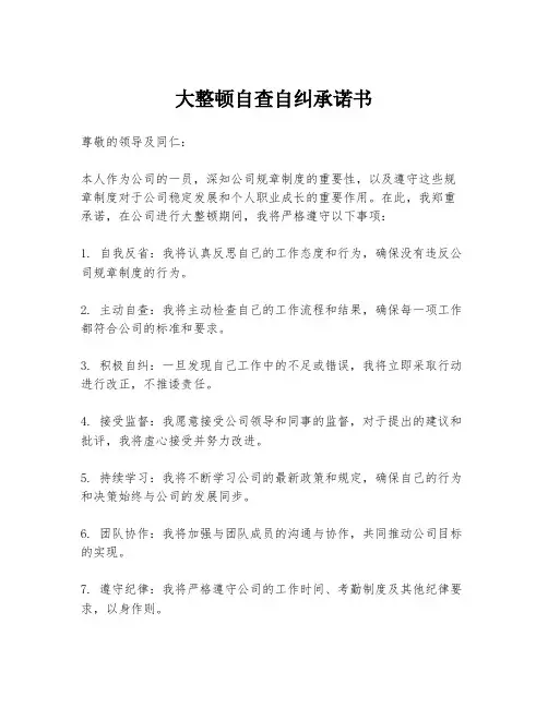 大整顿自查自纠承诺书