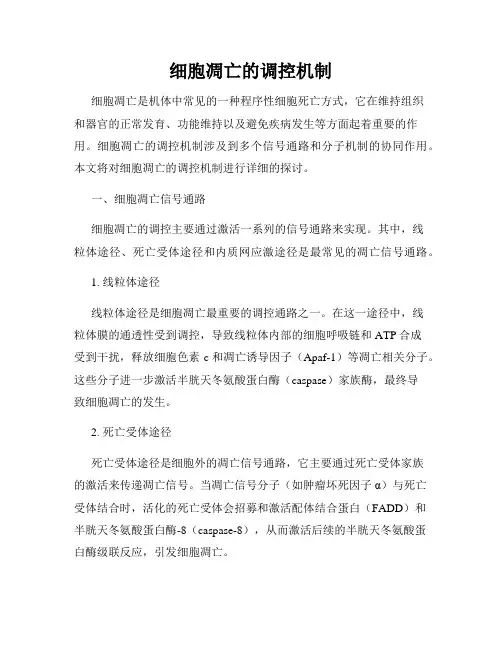 细胞凋亡的调控机制