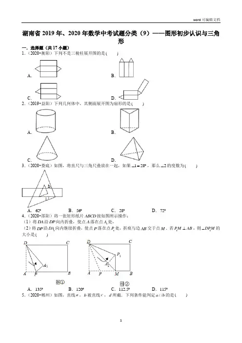 湖南省2019年、2020年数学中考试题分类(9)——图形初步认识与三角形(含解析)