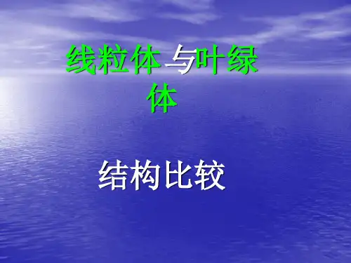 线粒体与叶绿体结构比较