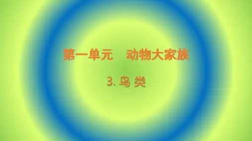 新苏教版四年级上册科学PPT课件第一单元《3鸟类》