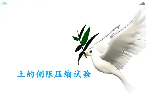 工程岩土与测试：土的固结试验