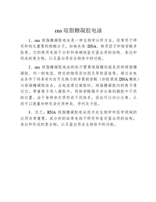 rna琼脂糖凝胶电泳
