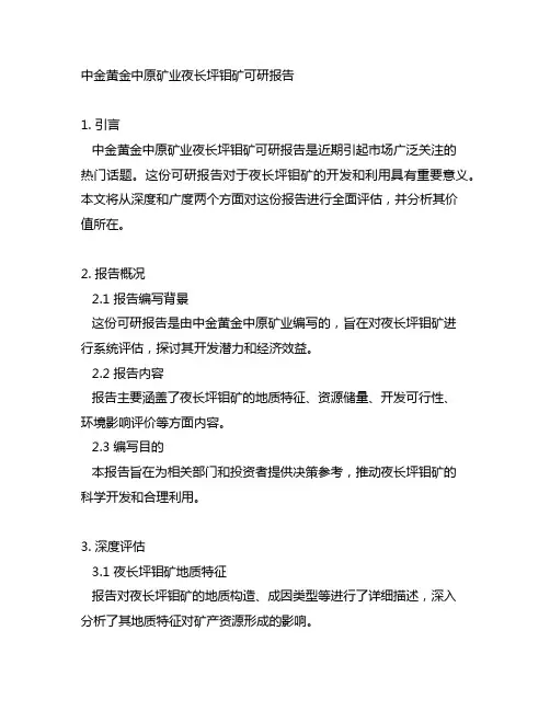 中金黄金中原矿业夜长坪钼矿可研报告