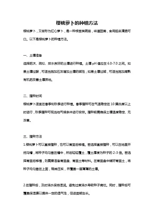 樱桃萝卜的种植方法