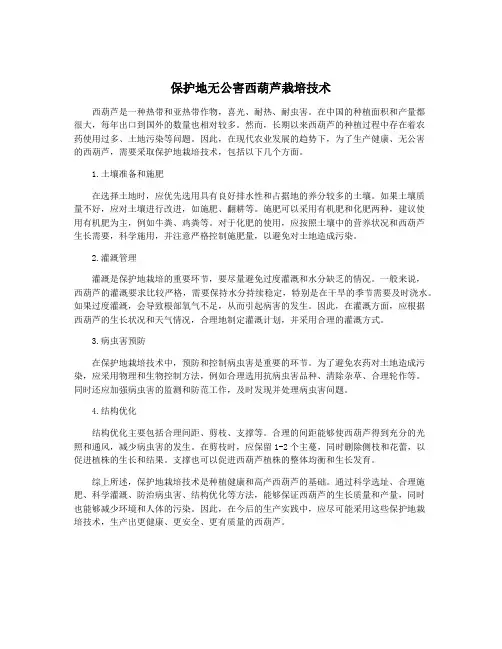 保护地无公害西葫芦栽培技术