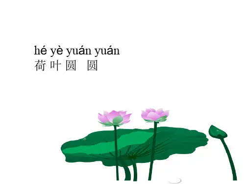 部编版语文一年级下册课文13《荷叶圆圆》课件