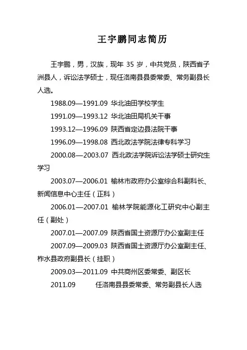 王宇鹏同志简历