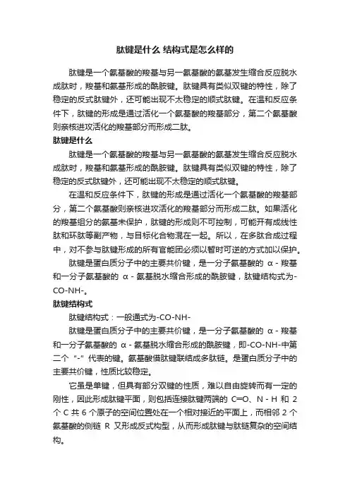 肽键是什么结构式是怎么样的