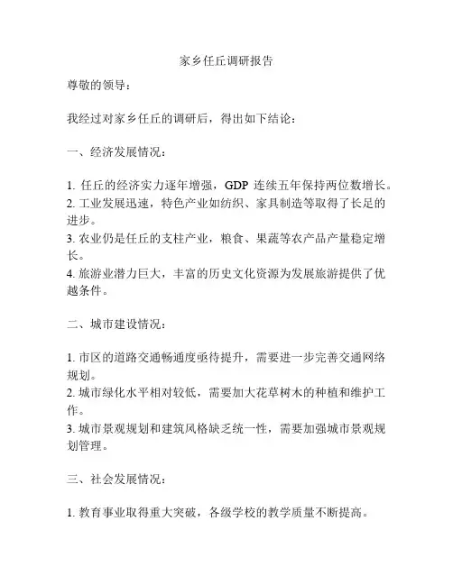 家乡任丘调研报告