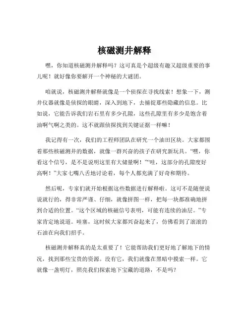 核磁测井解释