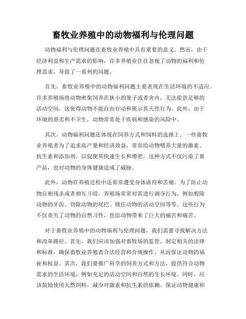 畜牧业养殖中的动物福利与伦理问题