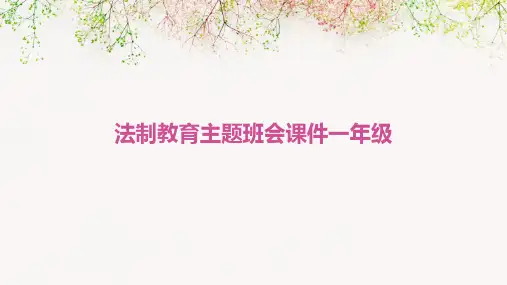 法制教育主题班会课件一年级