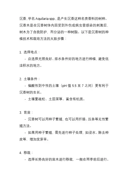 沉香树的种植技术和栽培方法