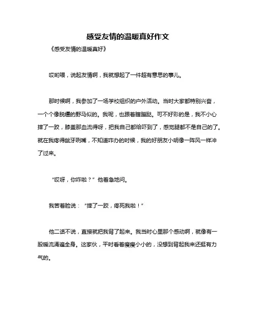 感受友情的温暖真好作文