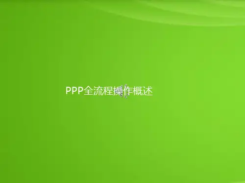 PPP全流程操作概述PPT