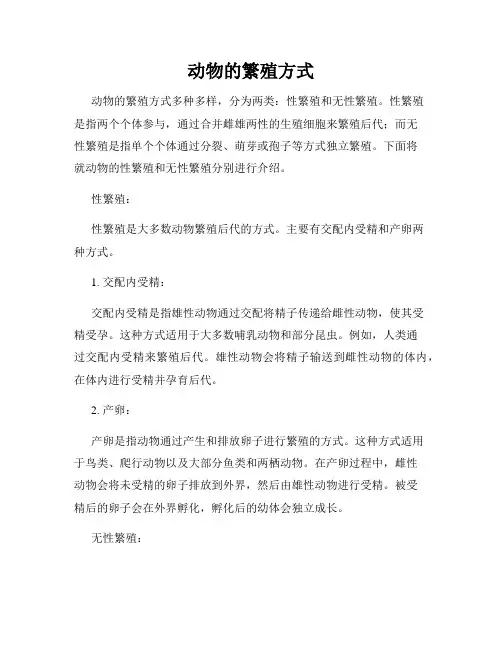 动物的繁殖方式