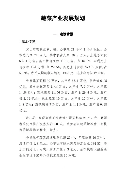 蔬菜产业发展规划