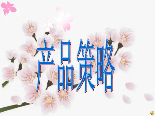产品策略培训教材(PPT 86页)