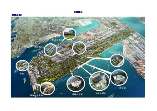 东疆概况-管委会