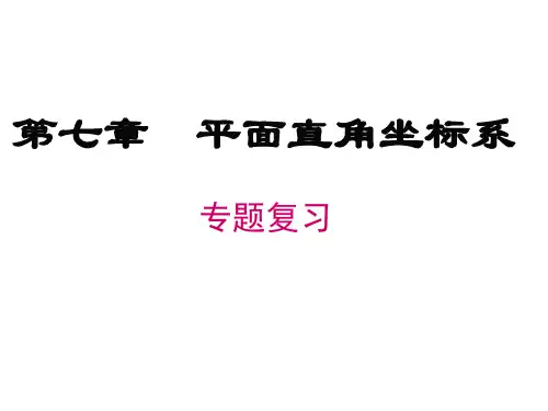 平面直角坐标系重难点复习