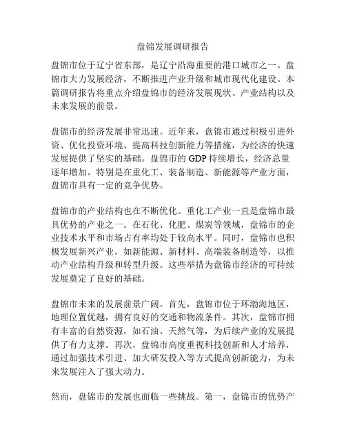 盘锦发展调研报告
